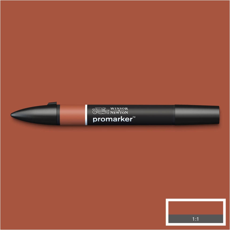 PENNARELLI PROMARKER W&N BURNT UMBER (R646) 3