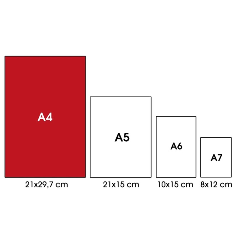 MAXI 100GR 4MM C/MARGINE 10PZ ALTA FOGLIZIONE CENT 3