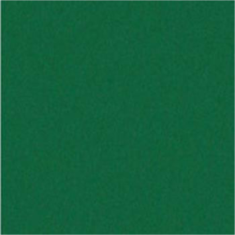 ROTOLO PLASTICA ADESIVO 45CMX2MT VERDE