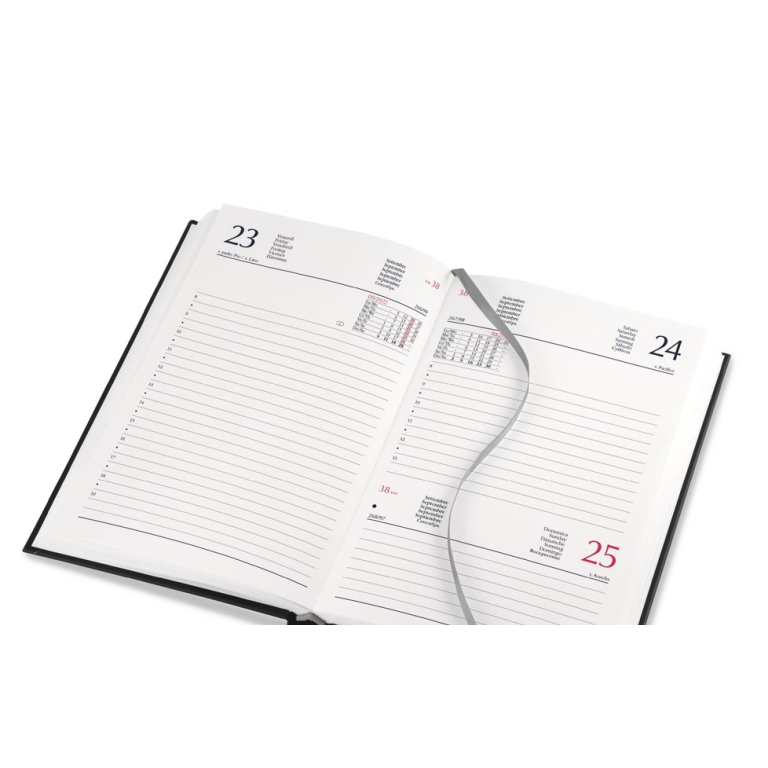 AGENDA GIORNALIERA 12X17 CON ELASTICO DYNAMIC 2