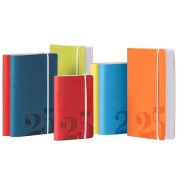 AGENDA BIGIORNALIERA 6X9 COLORBAND TASCABILE