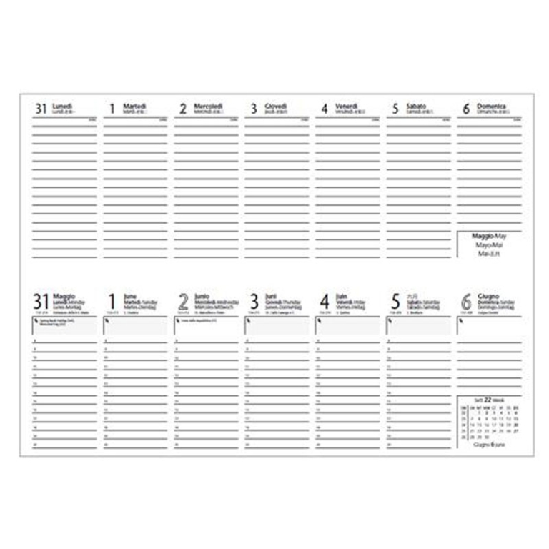 PLANNING SETTIMANALE 30X10 SPIRALATO TEXT 2