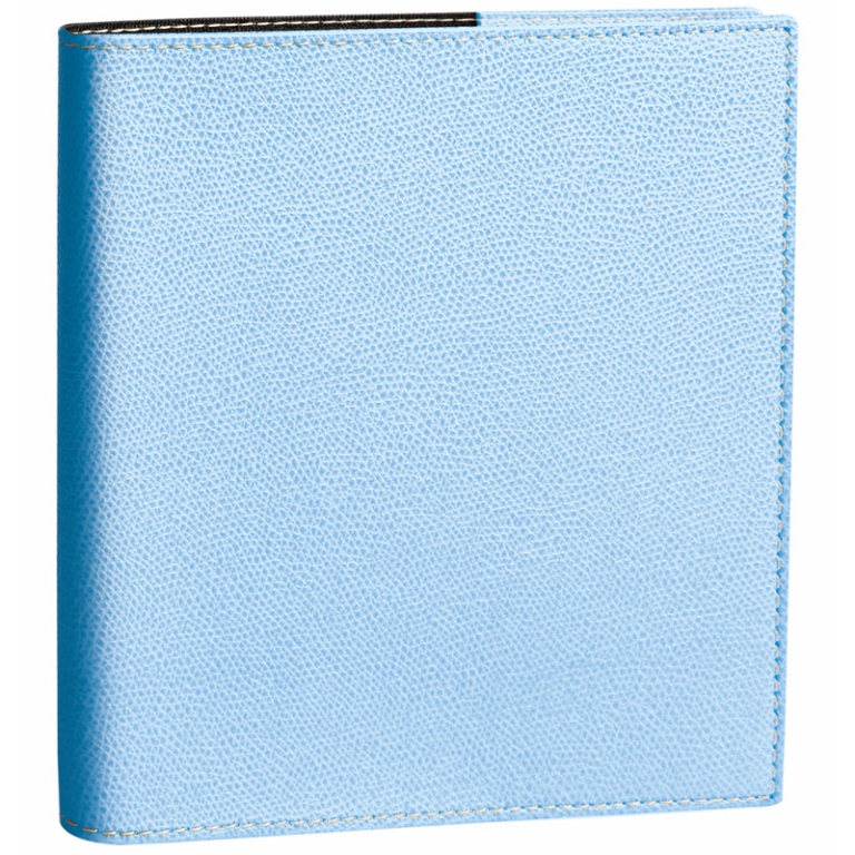 AGENDA ESECUTIVO 16X16 CLUB AZZURRO QUO VADIS