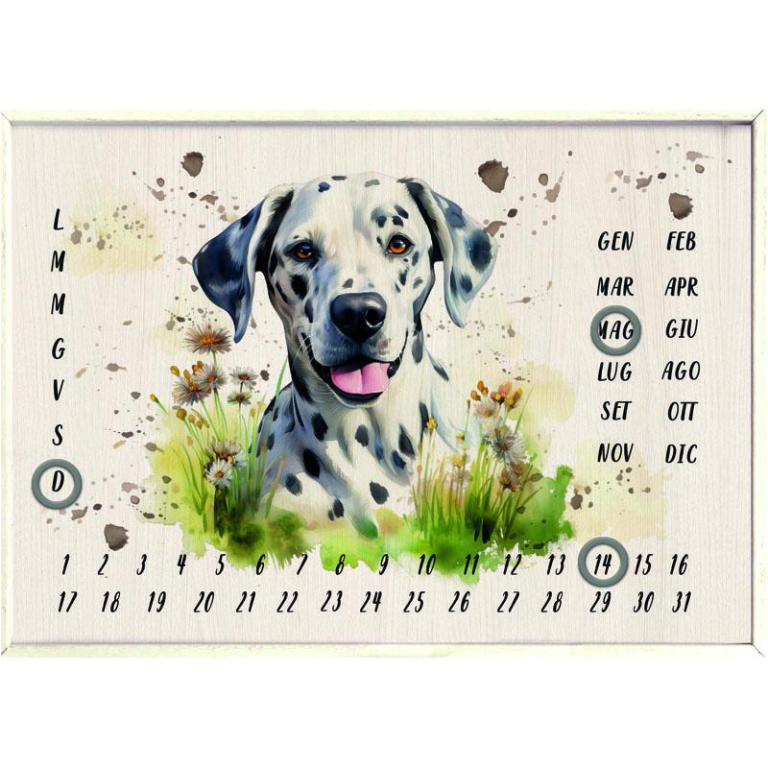 CALENDARIO PERPETUO 22X16CM DALMATA