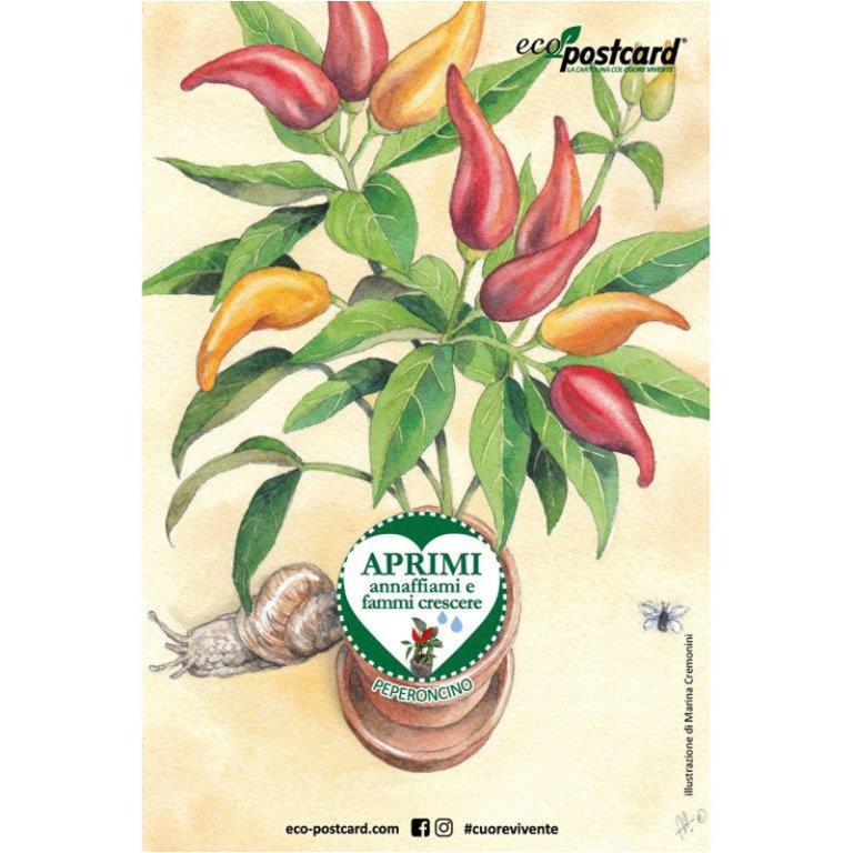 ECO-POSTCARD ILLUSTRATA  6PZ PIANTINA PEPERONCINO