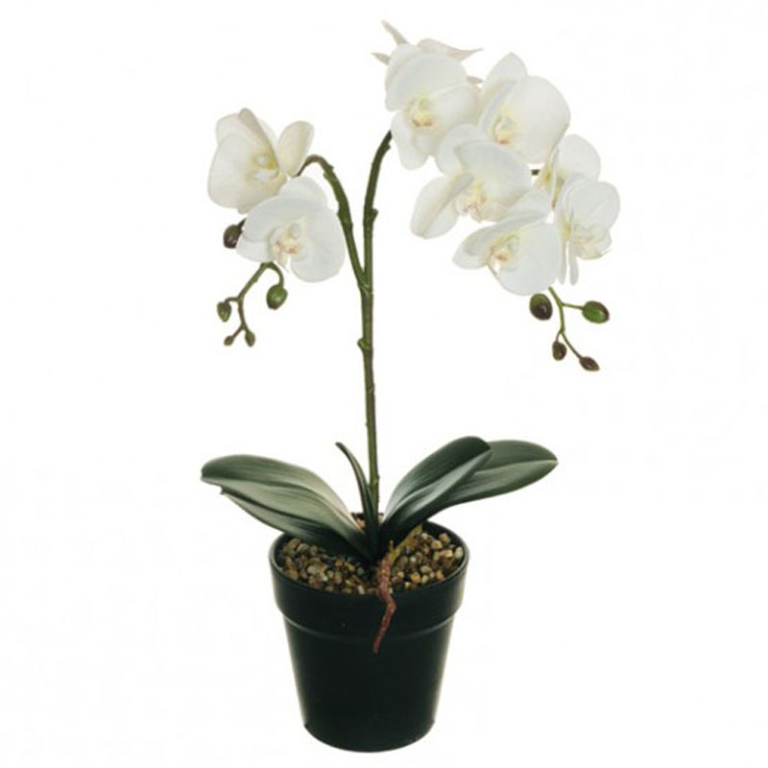 VASO PHALAENOPSIS 46CM   RAMI ORCHIDEA BIANCA