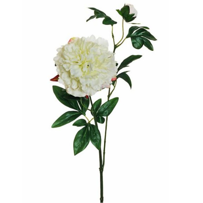 FIORE PEONIA H69CM BIANCO