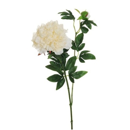 FIORE PEONIA H69CM CREMA