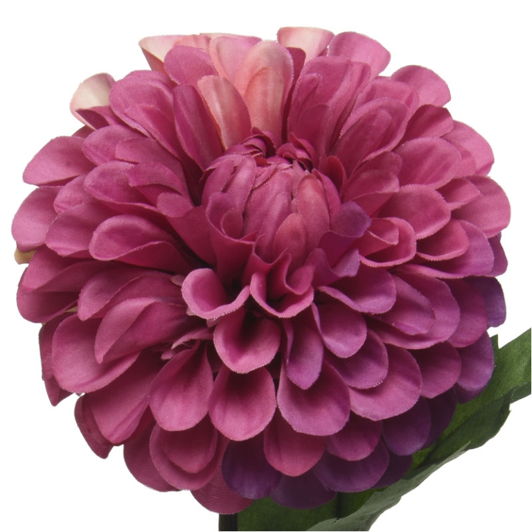 DHALIA FIORE H75CM       FUCHSIA 2