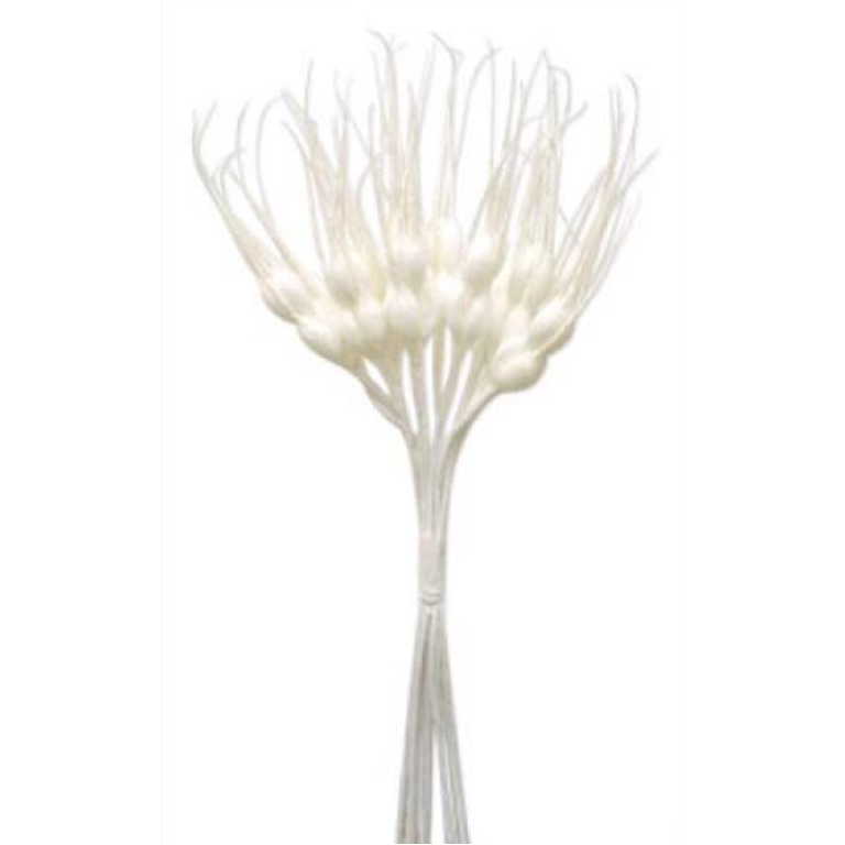 SPIGHE DI GRANO BIANCO   NATURALE 18CM 72PZ