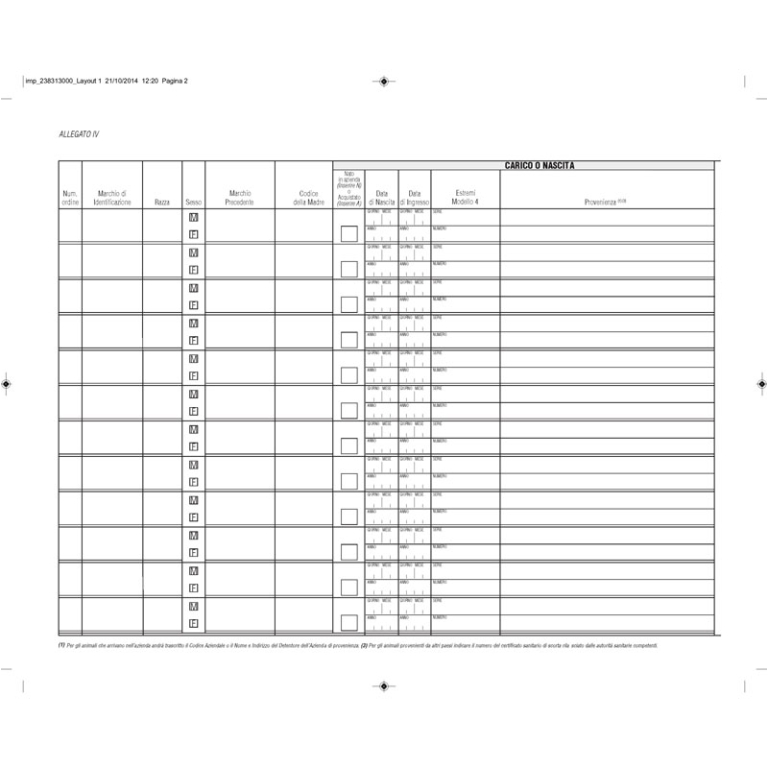 RG BOVINI CARICO/SCARICO 31X24,5 23PG NUMERATE