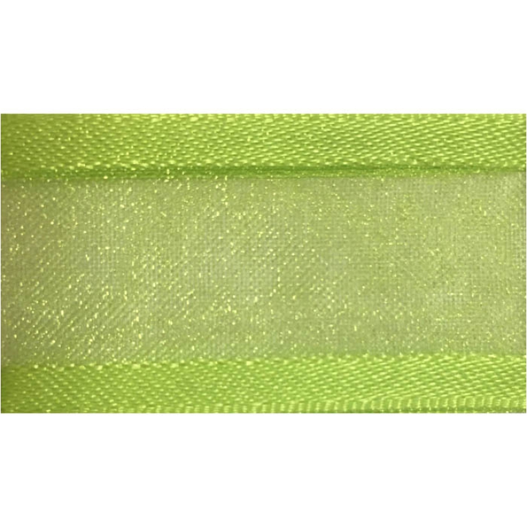 NASTRO ORGANZA 15MMX25MT BORDATO RASO VERDELIME 037