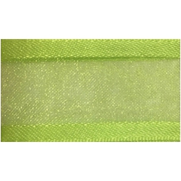 NASTRO ORGANZA 25MMX25MT BORDATO RASO VERDELIME 037