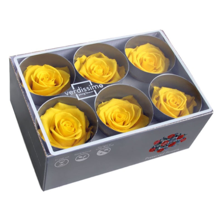 ROSA STABILIZZATA D5,5CM STANDARD 6PZ GIALLO BRILL