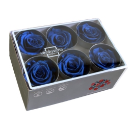 ROSA STABILIZZATA D5,5CM STANDARD 6PZ BLU