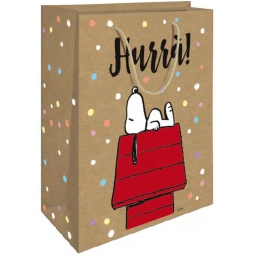 SHOPPER SNOOPY 26X32X12  CASETTA