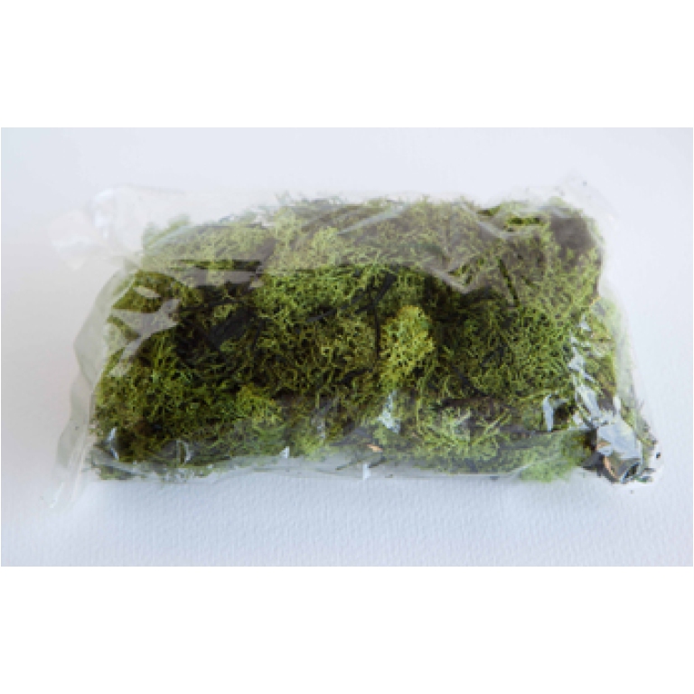 LICHENE NATURALE BUSTA DA 100GR VERDE