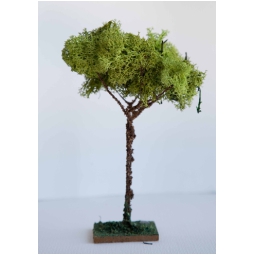 ALBERO LICHENE 6PZ 15CM   PER PRESEPE