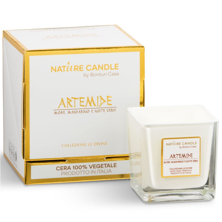 CANDELA 90GR LE DIVINE MORE MANDARINO NOTE VERDI