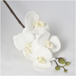 RAMO ORCHIDEA 84CM BIANCO