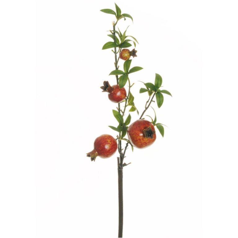 RAMO MELOGRANO CON FRUTTI H70CM AMARANTO