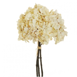 BOUQUET ORTENSIA LISCIA  H32CM CREMA CHIARO