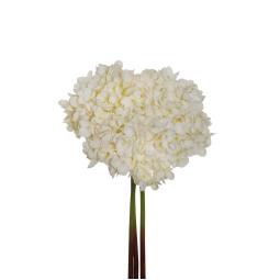 FIORE ORTENSIA POPCORN   H43CM CREMA