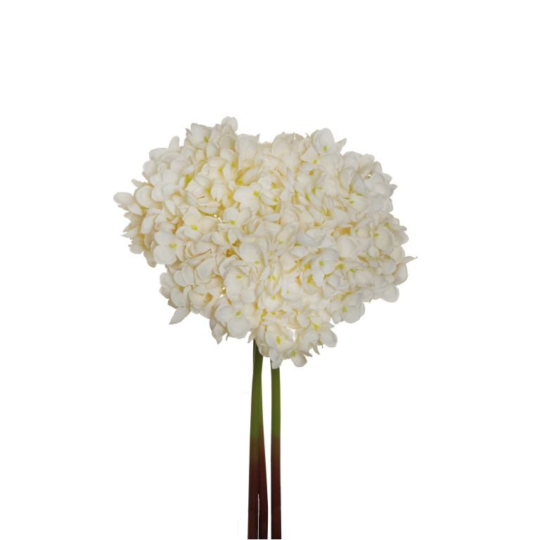 FIORE ORTENSIA POPCORN   H43CM CREMA