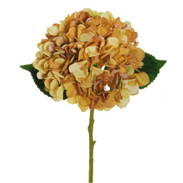 PICK H50CM ORTENSIA GIALLO AUTUNNO 80-376718