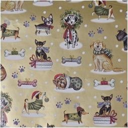 CARTA REGALO 70X100CM    10FG XMAS CAGNOLINI