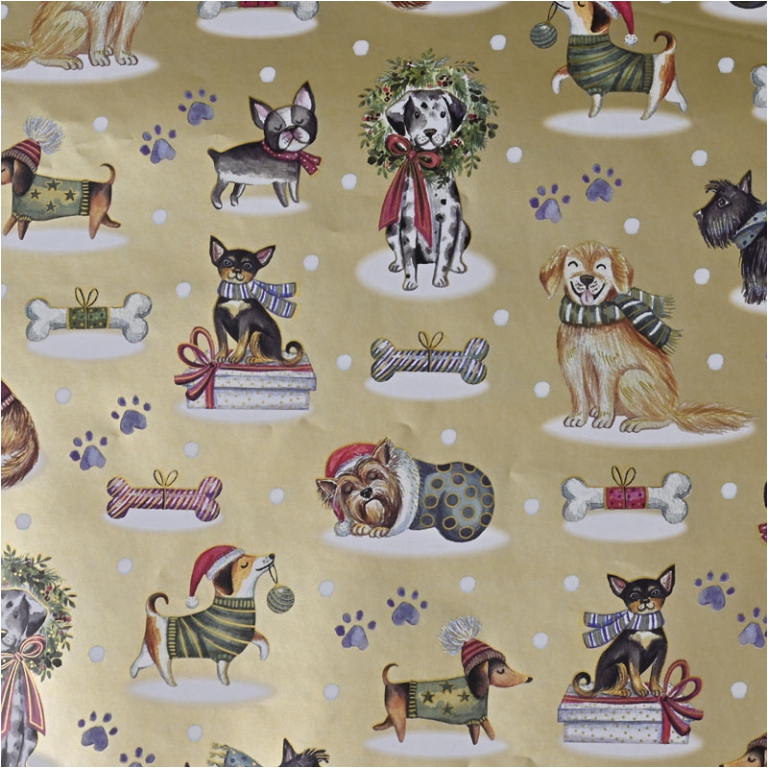 CARTA REGALO 70X100CM    10FG XMAS CAGNOLINI