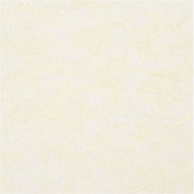 CARTA RISO 63X93CM 25 FOGLI AVORIO COL.72 25GR